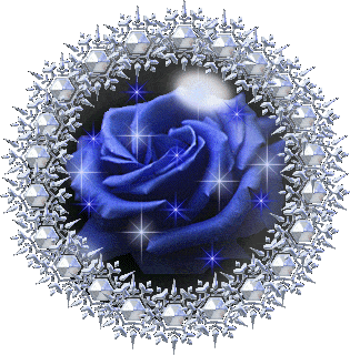 Rose bleue